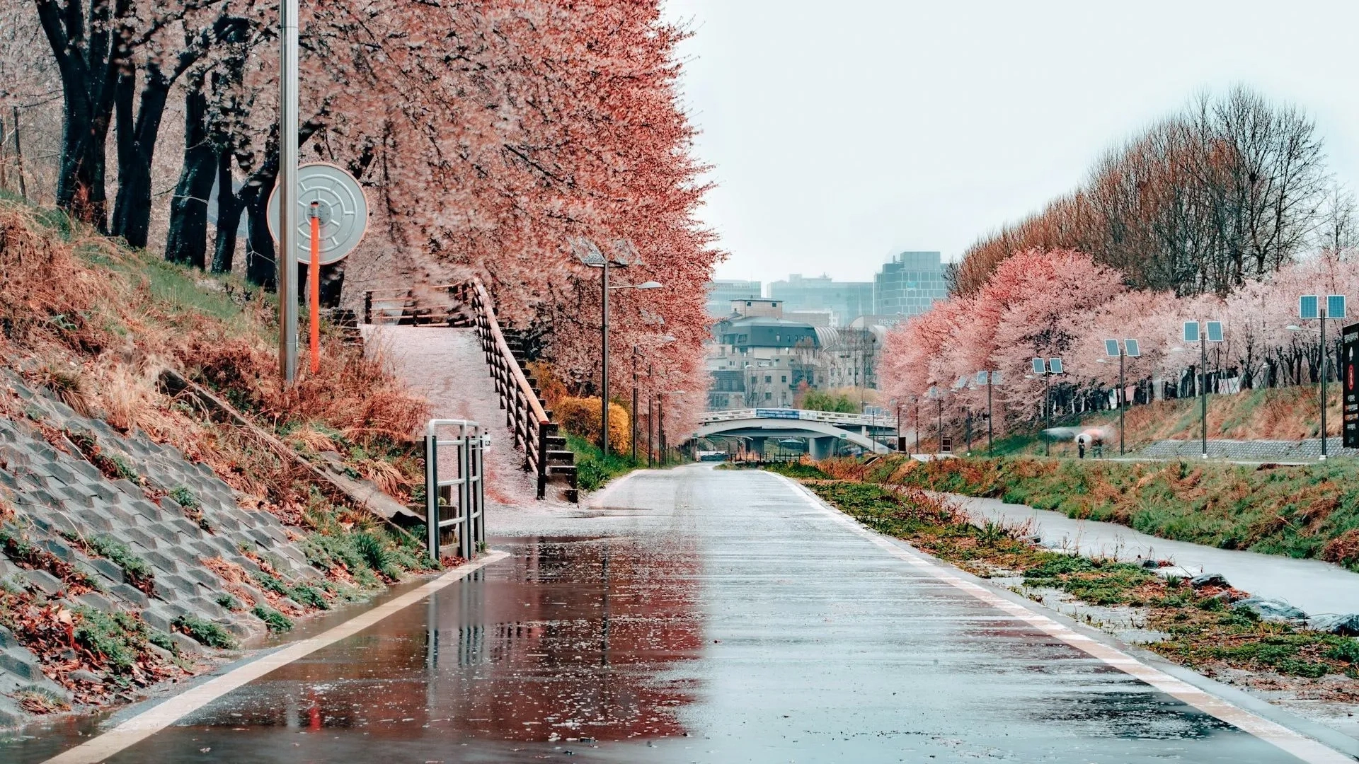 seoul south korea 1769693733